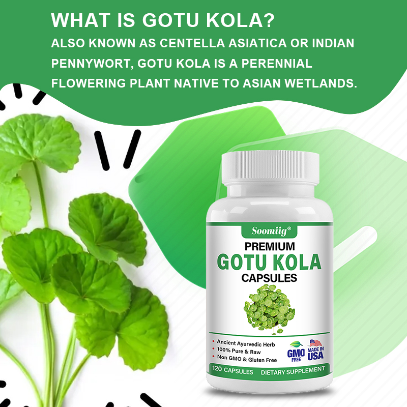 Gotu Kola Capsules 1300mg - Gi - Ginkgo Biloba Extract review and price