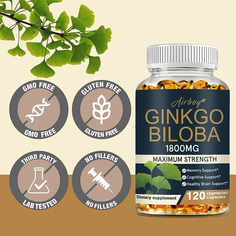 Ginkgo Biloba Supplement - Mem - Ginkgo Biloba Extract review and price