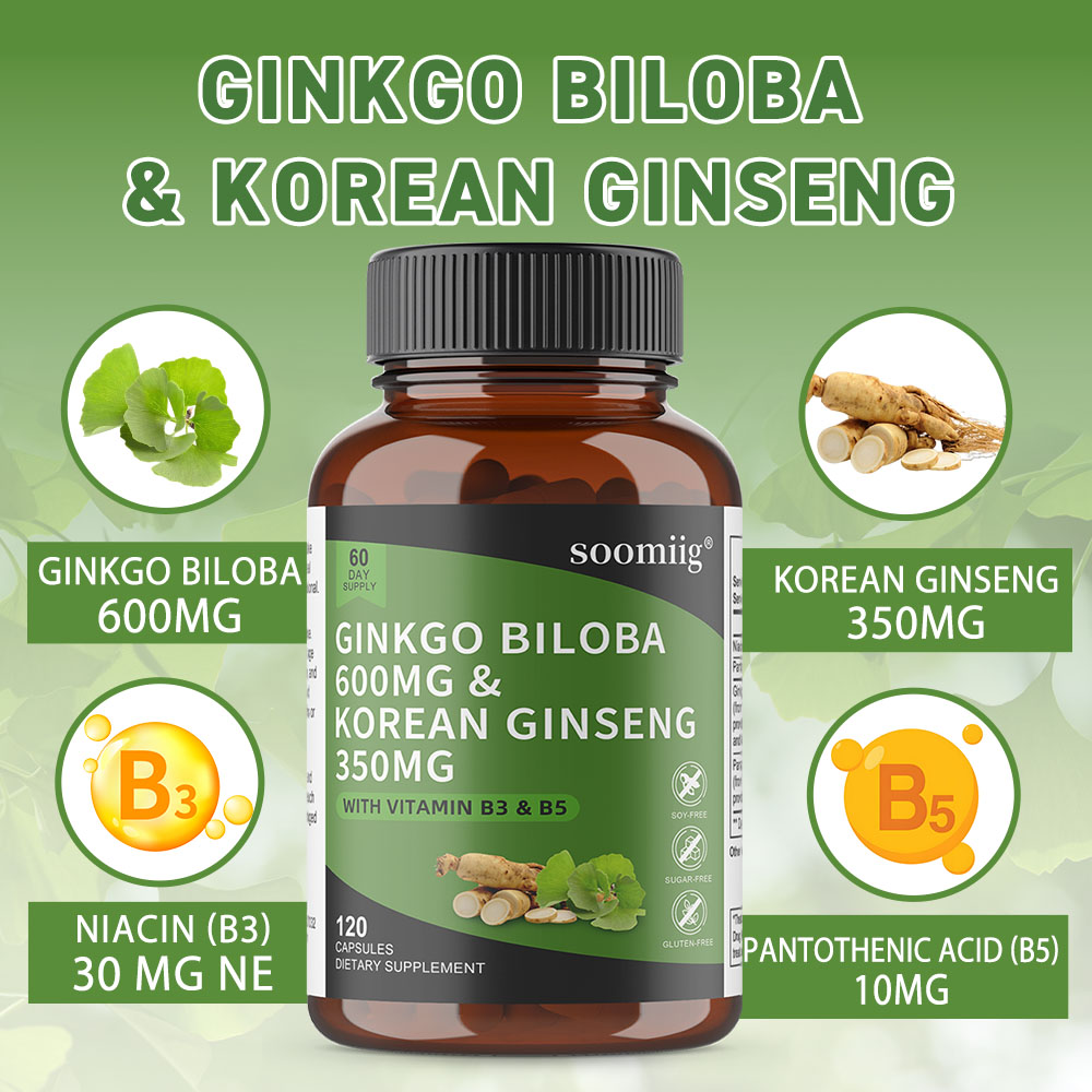 Ginkgo Biloba & Korean Ginseng - Ginkgo Biloba Extract review and price