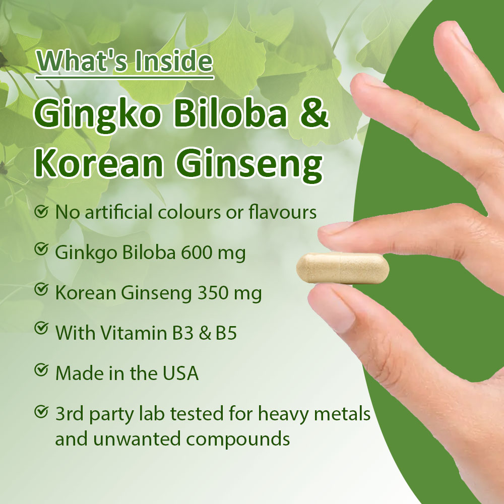Ginkgo Biloba & Korean Ginseng - Ginkgo Biloba Extract review and price