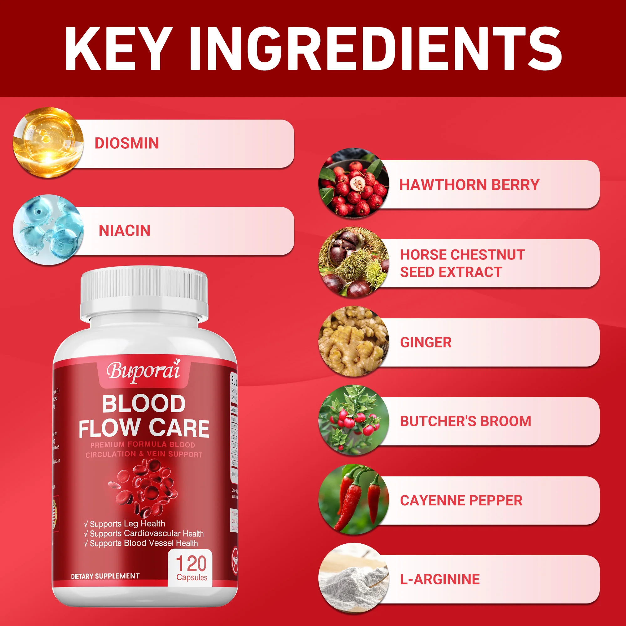 Blood Flow Care - Improves Cir - Ginkgo Biloba Extract review and price